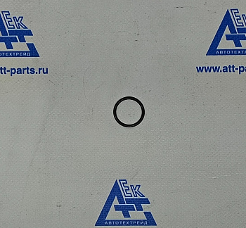 Кольцо уплотнительное  20,3 х 2,4 SITRAK C7H WG9000361017 (для WG9000361015 190003559955)