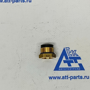 Гайка гнездо штуцера SITRAK C7H NG12 (серия 232) WG9000361502 (для WG9000361603)
