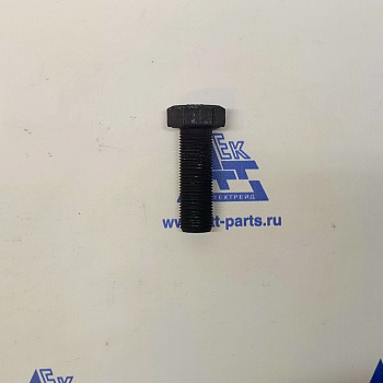 Болт суппорта крепление SITRAK (ZQ151B1855TF2)