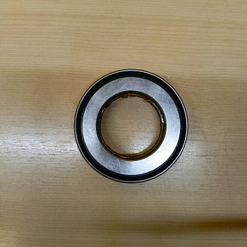 Подшипник шкворня нижний SITRAK WG9925410090