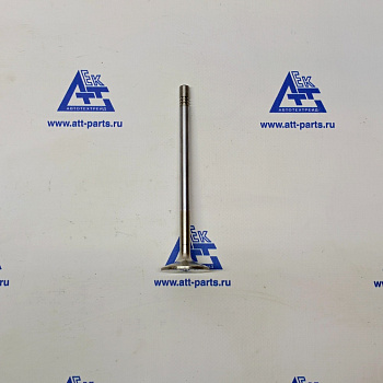 Клапан впускной SITRAK C7H MC11/13 (202V04902-0033)