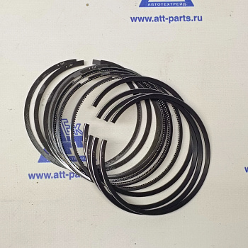 Кольца поршневые [STD] DAILY (3 л)(к/т на поршень)(2995582) 2996623