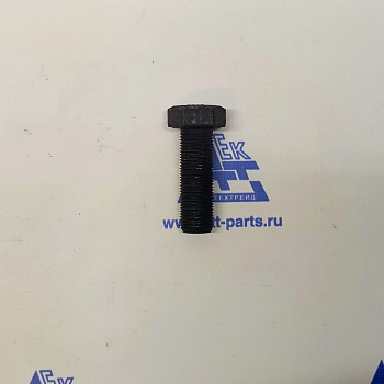 Болт суппорта крепление SITRAK (ZQ151B1855TF2)
