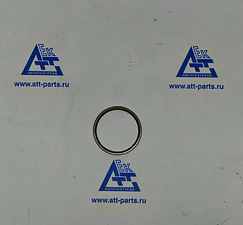 Сальник шкворня SITRAK WG4095415011